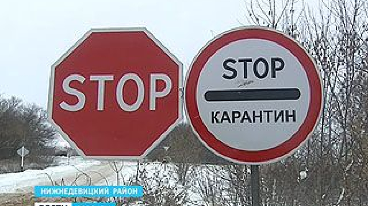 Стоп проезд. Стоп карантин. Карантин знак. Таблички стоп-карантин. Стоп карантин картинки.