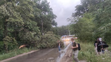 Студгородок оказался заблокирован из-за внезапно налетевшей на Воронеж бури