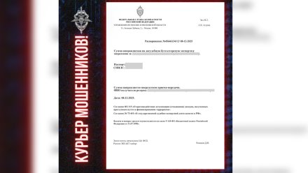 Воронежцам показали, какие документы от «силовиков» используют курьеры аферистов
