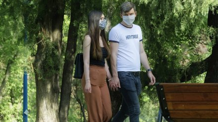В Черноземье за сутки коронавирус нашли у 316 человек