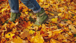 Холодными и дождливыми будут последние сентябрьские выходные в Воронеже