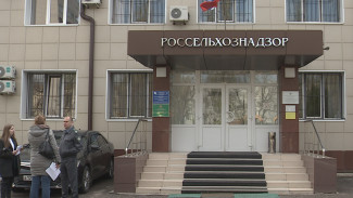 В центре Воронежа за два дня «произвели» 560 тонн фантомного сливочного масла