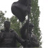 В Нововоронеже открыли памятник в честь героев Великой Отечественной войны и СВО