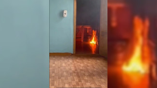 Детей эвакуировали из-за пожара в школе в центре Воронежа