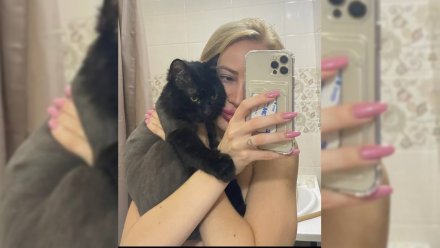 В Воронеже ветклиника отказала хозяйке умершего кота в компенсации морального вреда