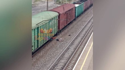 В Воронеже поезд насмерть сбил парня