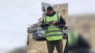 Нелегальный парковщик обозвал девушку курицей и запретил оставить авто у ЗАГСа в Воронеже