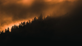 Пожароопасный сезон завершился в Воронежской области