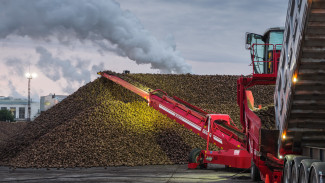 В Воронежской области завершается уборочная кампания на агропредприятиях «Продимекс»