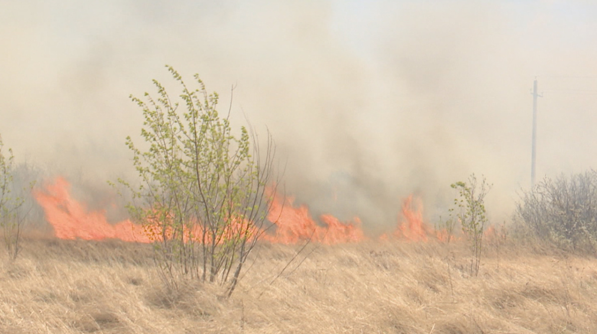 пожар в новохоперске. пожары воронеж 2020. пожары в воронежской области в2020. районы воронежской области. воронежская область пожары районы.
