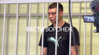 Участников жестокой драки на проспекте Революции отправили под стражу