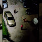 Под Воронежем неизвестные избили девушку и за волосы затащили в автомобиль