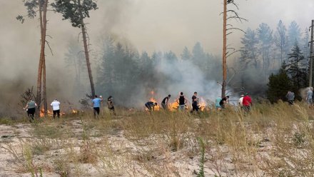 Особый противопожарный режим отменили в Воронежской области