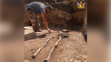 Захоронение скифского воина нашли в Воронежской области археологи РАН