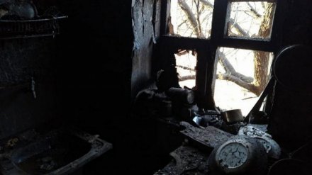 Тело пенсионерки нашли в сгоревшем доме в воронежском селе