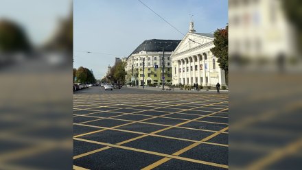 Вафельную разметку нанесли на площади Ленина в Воронеже