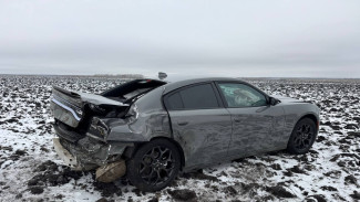 Массовая авария с легковушками и фурой произошла на воронежской трассе
