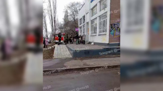 Котокафе загорелось в Коминтерновском районе Воронежа