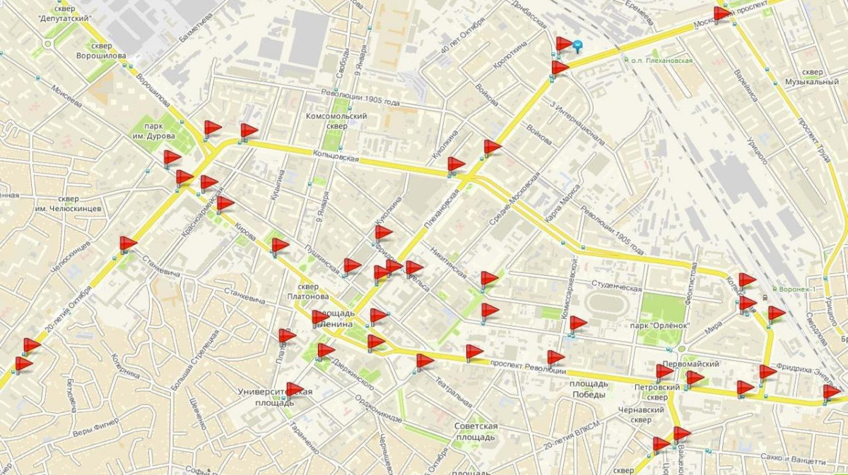 Карта в черном списке общественный транспорт воронеж