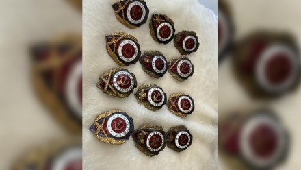 Коллекционера из Воронежа оштрафовали на 100 тысяч за отправку старинных наград в Прагу