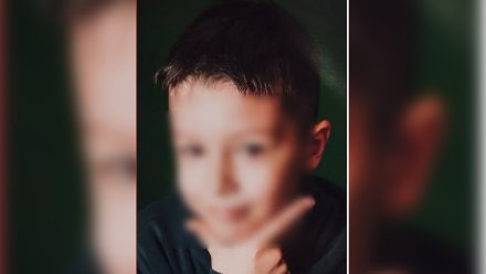Пропавшего в воронежских «Озерках» 8-летнего мальчика нашли