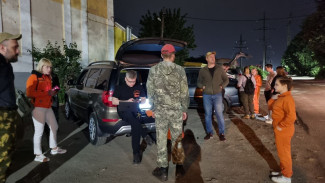 В Воронежской области заработал сервис поиска пропавших людей 