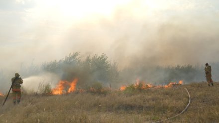 В Воронежской области объявили чрезвычайную пожарную опасность