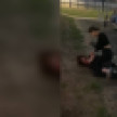 В Воронеже сняли на видео жестокое избиение 14-летней школьницы