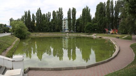 Ремонт чаши озера на улице Минской в Воронеже оценили в 7 млн рублей