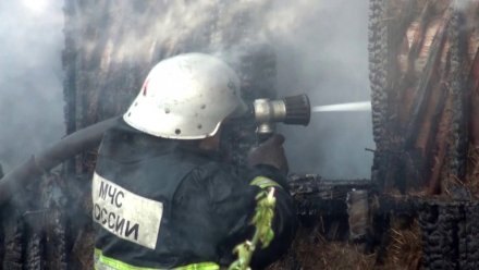 В Воронежской области при пожаре в дачном доме погиб мужчина