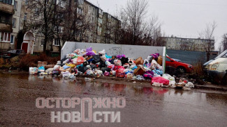 Жители Семилук пожаловались на мусорный коллапс