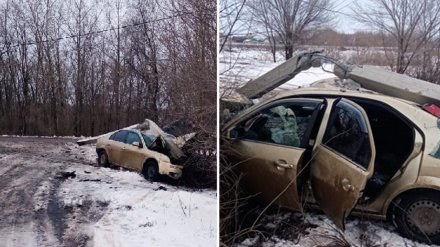 В Воронежской области водитель не справился с управлением и устроил ДТП с 2 пострадавшими