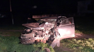 Число пострадавших в смертельном ДТП с Kia в воронежском селе выросло до 2