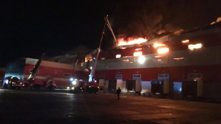 В МЧС назвали причину пожара в распределительном центре «Магнита» под Воронежем