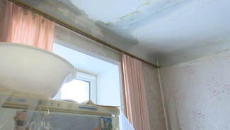В Воронеже жители затопленных квартир на улице Красноармейской обратились за компенсацией