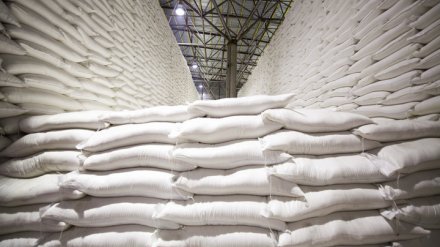 «Продимекс» построит новый склад готовой продукции для Ольховатского сахзавода