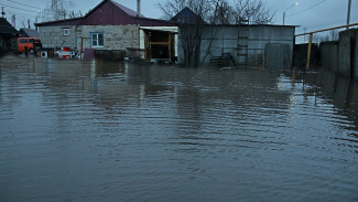 Появились фото масштабного потопа в хуторе под Воронежем 