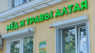 Воронежцам рассказали, где купить 20 сортов натурального мёда