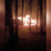 Появилось видео с места пожара на турбазе под Воронежем