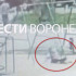 Воронежцам показали момент падения 9-летней девочки с качелей