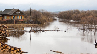 Синоптики дали прогноз на половодье в Воронежской области