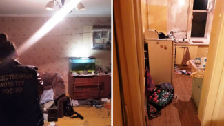 Воронежца приговорили к 14 годам колонии за двойное убийство