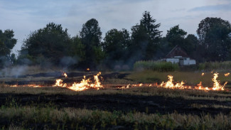 Почти 50 ландшафтных пожаров зафиксировали в Воронежской области
