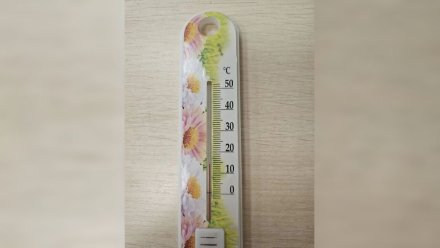 Ученики воронежской школы начали ходить на уроки в куртках