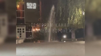 Фонтан забил из-под земли на проспекте Революции в Воронеже