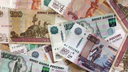 В Воронеже возбудили уголовное дело из-за неуплаты бизнесменом 47,8 млн налогов