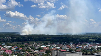 В МЧС прокомментировали пожар за воронежским Боровым
