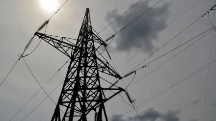 «Воронежэнерго» напомнило о необходимости соблюдать безопасность в зоне охраны ЛЭП