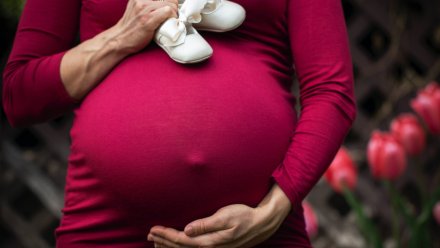 В первом квартале 2026 года жительницам Воронежской области выполнено 307 процедур ЭКО 