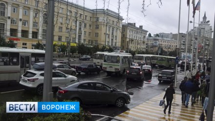 Разгрузить центр. Пойдут ли на пользу Воронежу платные парковки